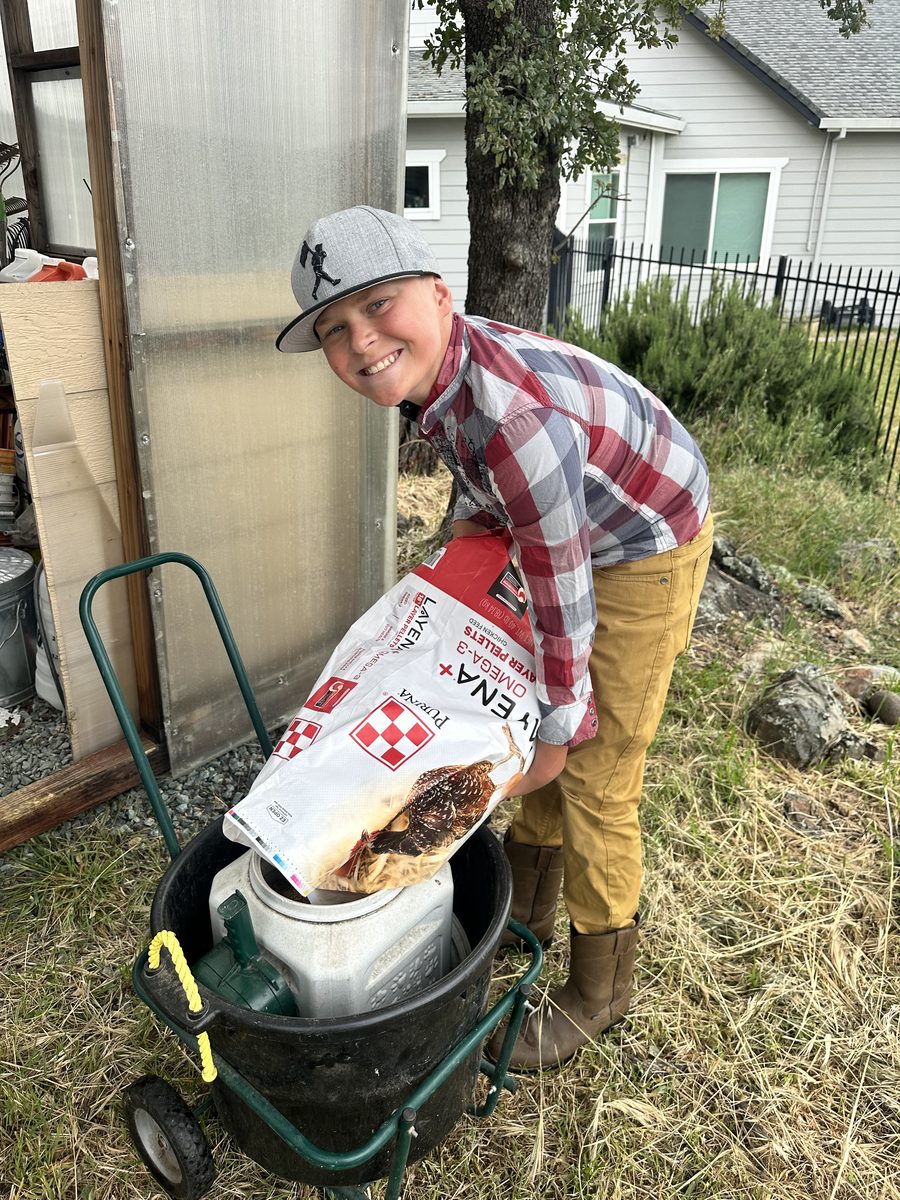 Bryce filling the chicken feeder with Purina Layena + Omega-3 feed